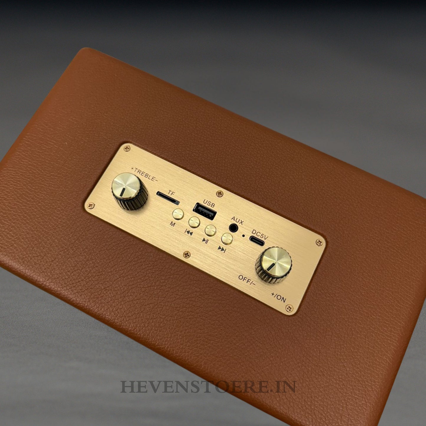 MARSHALL M18 MAX SPEAKER